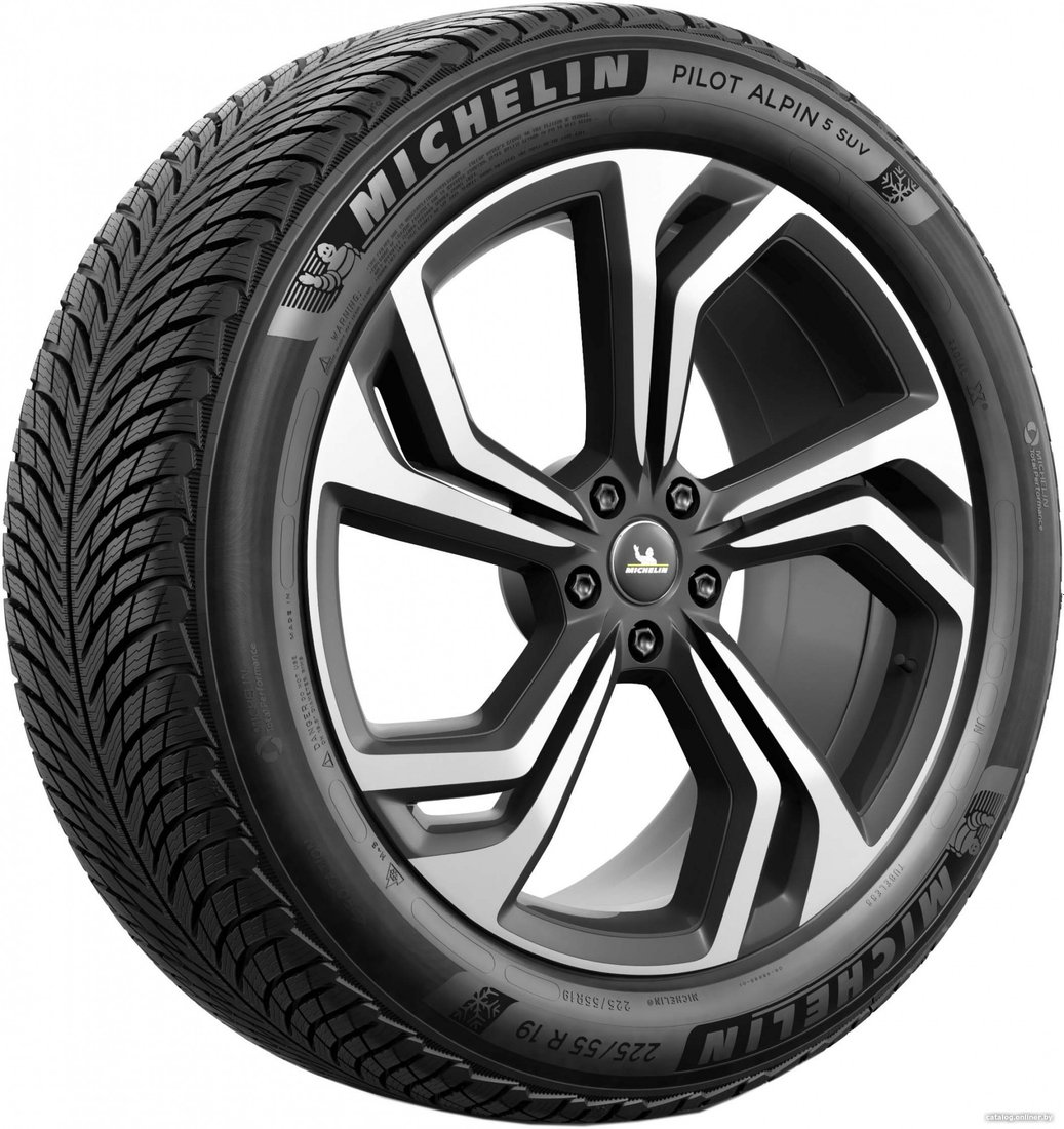 Автомобильные шины Michelin Pilot Alpin 5 SUV 255/45R21 106V