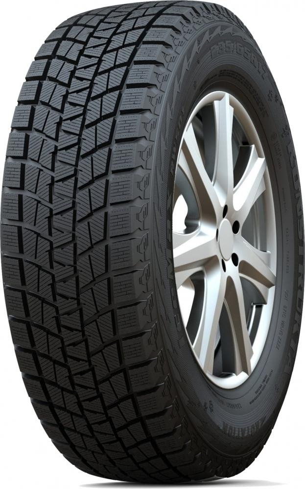 Зимние шины Habilead IceMax RW501 205/55R16 91H